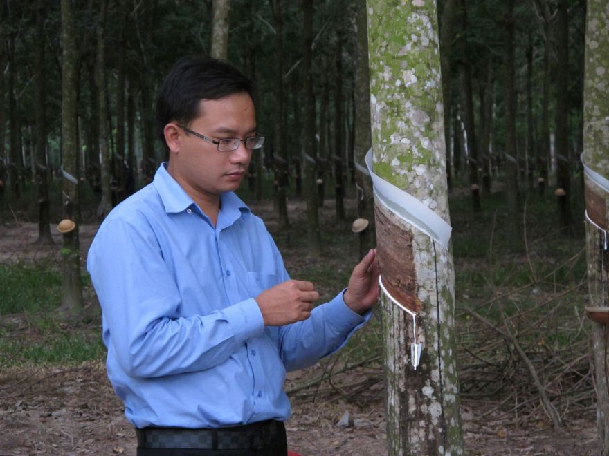 Trần Như Hùng (MBA)