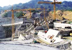 Foreign investors deterred by low electricity prices