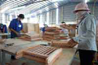 Taxes push lumber producers into the red