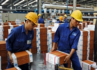 Khu công nghiệp và khu chế xuất: Quản lý và hiệu quả 