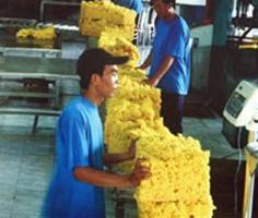 Nation’s rubber acreage to increase to 700,000 ha
