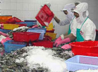 Exports to Mideast to hit $2.3bil by 2010