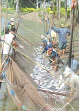 Vietnam targets exports of 72 billion USD for 2009