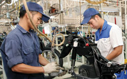 Golden FDI flows amid the gloom