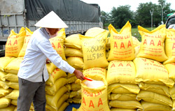 Thuế suất 0% cho 3 mặt hàng nhập khẩu từ Lào  
