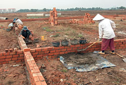 Quy định về diện tích đất tối thiểu: Rắc rối “diện tích đất tối thiểu”  
