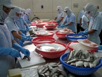 Brazil sees great potential in Vietnam’s market