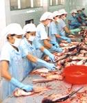 VASEP sẽ kiện Bộ Thương mại Hoa Kỳ ra WTO?     