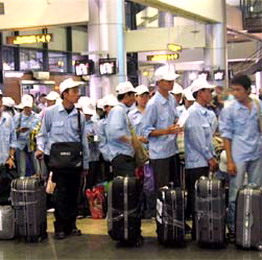 Hơn 80% lao động mất việc đã có việc làm