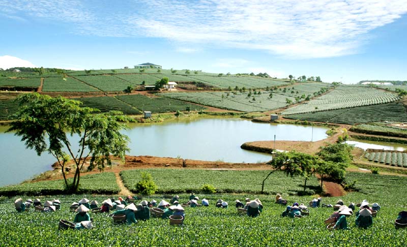 Lam Dong halts call for investment into privately-funded projects