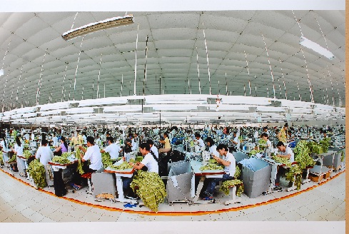 Để nữ CN lớn tuổi không phải là gánh nặng 