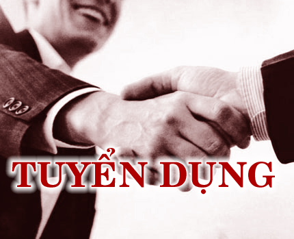 Cơ hội làm việc trong môi trường chuyên nghiệp cho công ty Ý