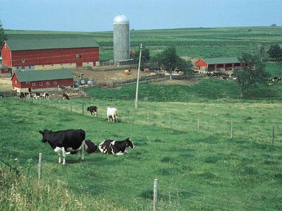 Investment in agricultural and rural sector hits snags