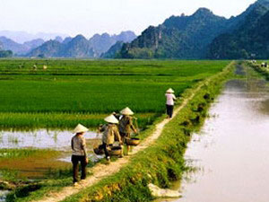 40 triệu euro phát triển nông thôn miền Trung 
