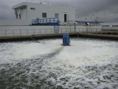 Nước thải sạch hơn nước sông