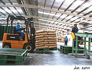 Song Thao cement plant to become operational in August