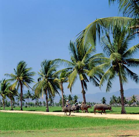 Delta province places bet on potential for tourism