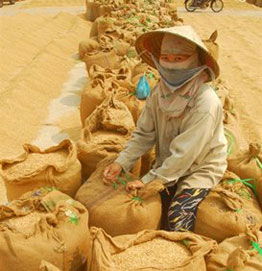 Mở rộng danh mục hàng hóa thuế suất 0% giữa Việt-Lào 