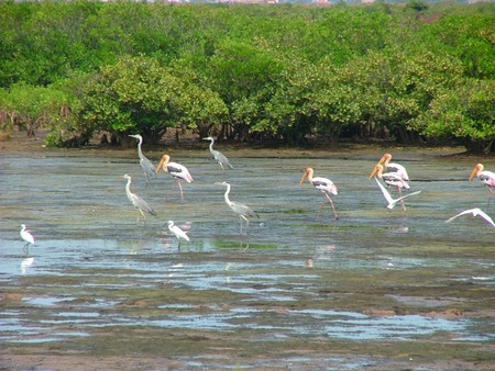 Investors pledge USD4 billion of investment in Red River Delta