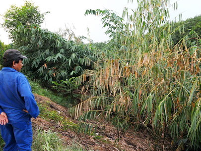 Binh Duong conducts large-scale check on environment protection