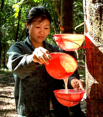 Rubber industry to work with regional growers to boost exports