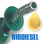 Xuất khẩu 200.000 lít dầu Biodiesel sang Singapore    