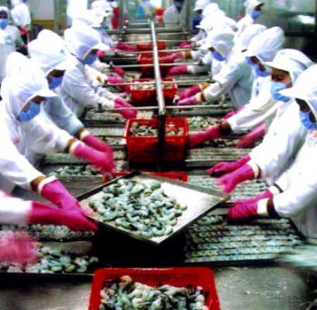 Additional 30 seafood exporters get EU permission 