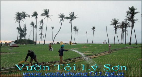 Quang Ngai calls for investors