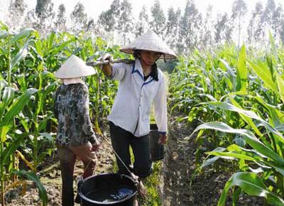 Ministry urges firms to cut down on pesticide imports