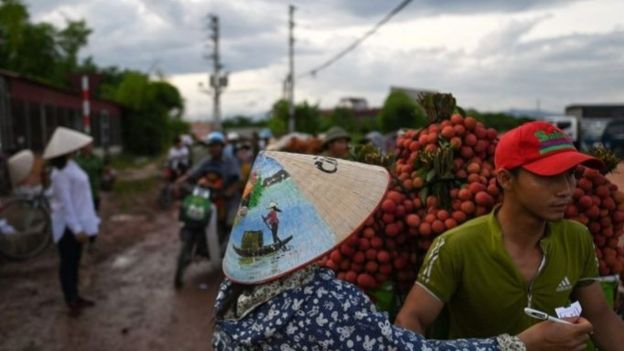Looking back Vietnam economy 2016-2020: Japanese experts perspective