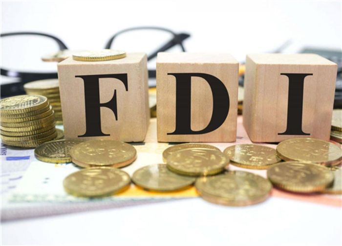 Singapore poured the most FDI into Vietnam in the past 8 months